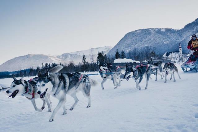 Вілла Zu Hause In Tirol Кірхбіхль Екстер'єр фото